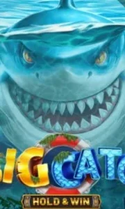 A Big Catch - Hold & Win