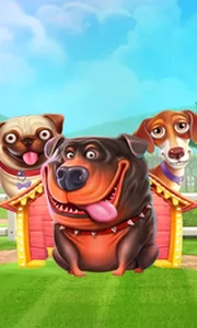 The Dog House